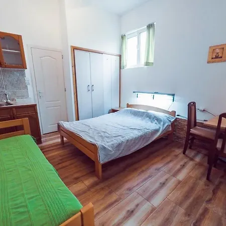 Apartment Filip Soko Banja